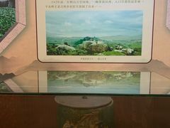 -广州神农草堂中医药博物馆
