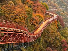 -少华山国家森林公园