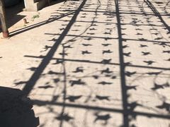 -亲兄弟真人CS团建拓展基地