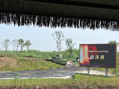 -泗洪洪泽湖湿地景区