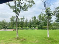 -佛手湖郊野公园