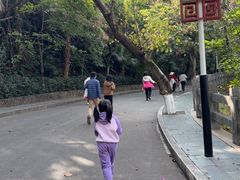 -水濂山森林公园