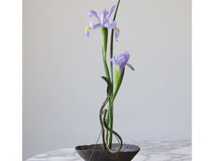 -荷兰布尔玛国际花艺学院