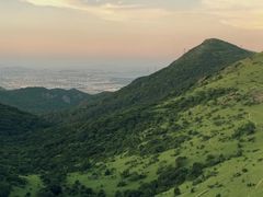 -大姆山草场