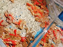 -澜悦港海鲜体验主题餐厅