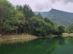 -龙道沟景区