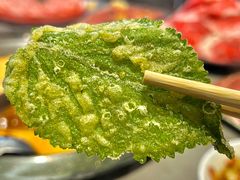 来一片脆叶-生活如沸·顺德水牛奶火锅(大学路店)