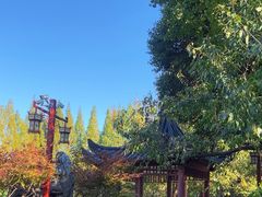 -郑和公园