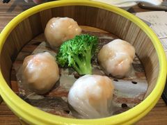 -粤港餐厅(禹州商业广场店)