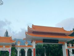 -深圳仙湖植物园