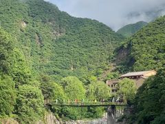 -黑河国家森林公园