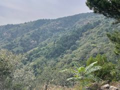 -天津盘山风景名胜区