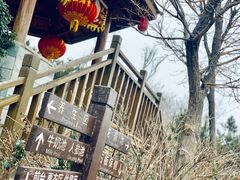-徂徕山森林康养度假谷温泉