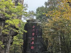 -汤旺河林海奇石景区