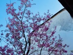 -乌山风景区
