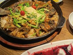 -老板恋上鱼(印象城店)