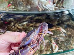 -蓝珊甄选海鲜自助·火锅大排档(近阿那亚店)
