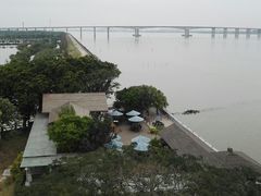 -大湾区中央湿地公园