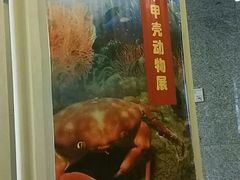 -常州博物馆