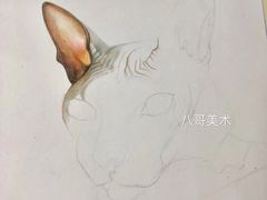 -八哥美术·成人美术画室(总校区)