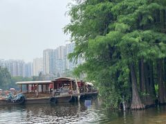 -荔湾湖公园