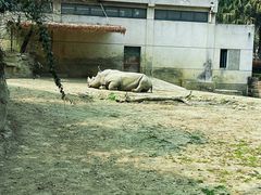 -成都动物园