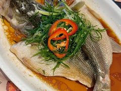 冬菜蒸鲈鱼-虾饺妹·酒家(金碧店)