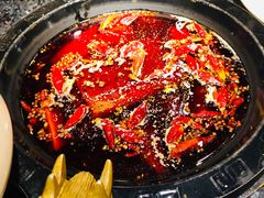 -蜀辣居鲜货老火锅(红牌楼店)