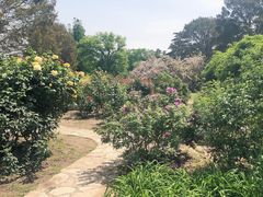 -国家植物园南园