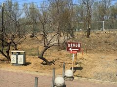 -白水寺森林公园
