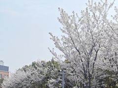 -外高桥保税区南(地铁站)