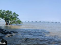 -宝安西湾红树林湿地公园