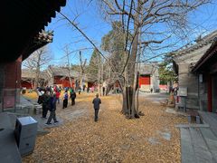 -承恩寺