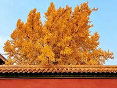 -故宫博物院(故宫)