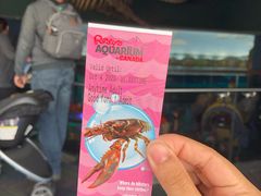 -瑞普利水族馆