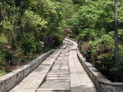 -高荡千年布依古寨旅游景区