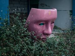 -百万葵园