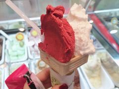-柠檬车露(卖草地店)