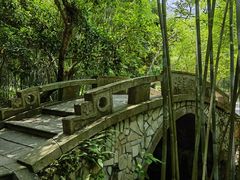 -深圳仙湖植物园