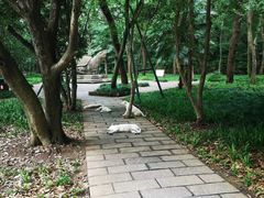 -灵谷景区