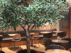-Wagas沃歌斯(信泰中心商场店)