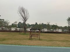 景点-美的鹭湖森林度假区