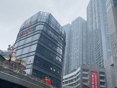 -金龙寨(龙城路店)