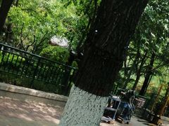 -万达广场(济南魏家庄店)