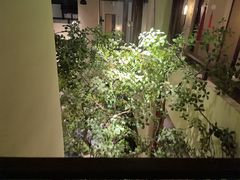 -豫满楼(正光路店)