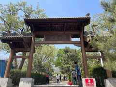 -阳台山自然风景区