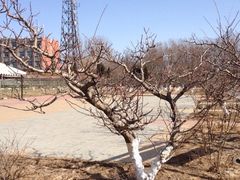 iphone_upload_pic-意大利农场度假村