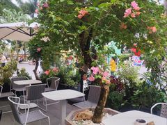-花神·轻食简餐·咖啡馆·花卉绿植(荷兰花卉小镇店)