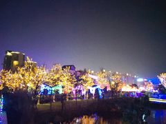 -飞凤山奥体公园