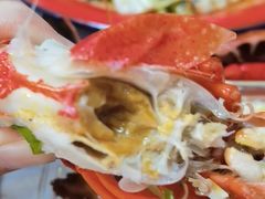 -香满锅老北京羊蝎子火锅·家常菜(新街口店)